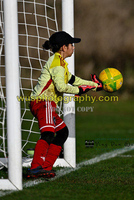 20251108-094325 AFC Greenwich Borough Academy Girls U12 v New Level Soccer Y U12 Warriors