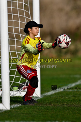 20251108-094353 AFC Greenwich Borough Academy Girls U12 v New Level Soccer Y U12 Warriors