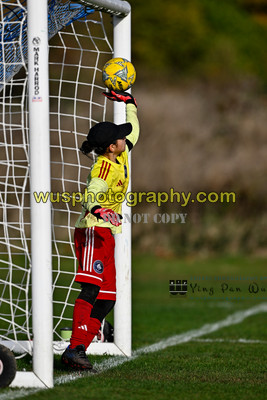 20251108-094336 AFC Greenwich Borough Academy Girls U12 v New Level Soccer Y U12 Warriors