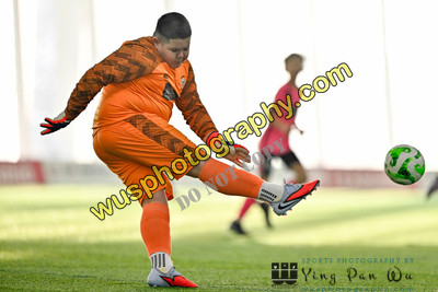 20260117-093212A JPL Foundation Phase Winter Finals at St Georges Park