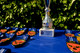 20230521-092040 Junior Premier League National Champions Tournament
