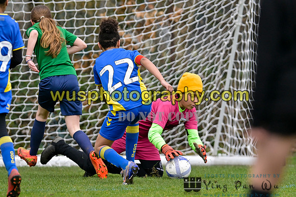 20230319-105132 AFC Wimbledon Girls U11 Yellows v Richmond Park FC U11