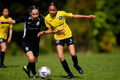 Petts Wood FC U12 Girls Swans v Watford Ladies FC U12 2022-04-30