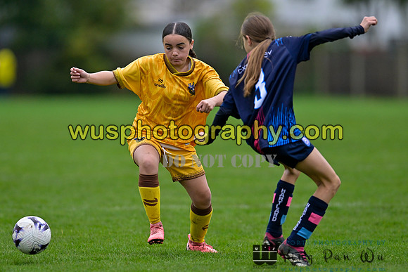 20241102-120842A Sutton United Girls U13 v Hartland Girls Academy U13