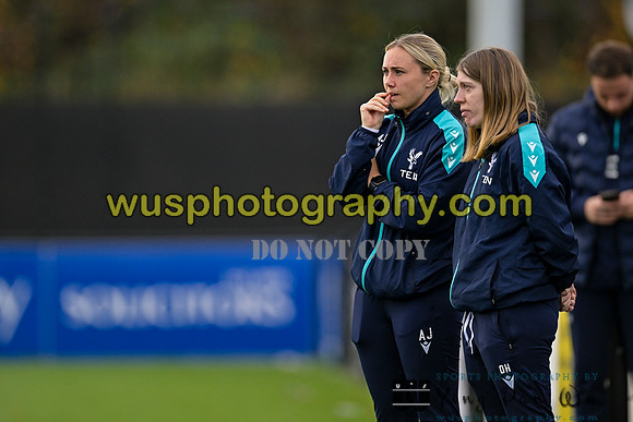 20241113-134746 Crystal Palace FC Women PGA U21 v Liverpool FC Women PGA U21