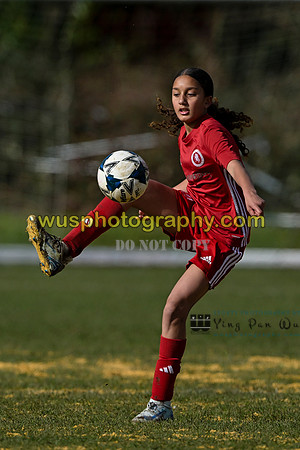 20250301-104421 Welling United Academy Girls U12 v Soccer Elite FA Girls U12
