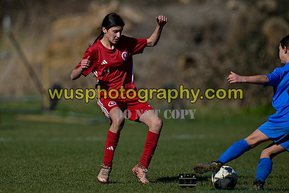 20250301-115835 Welling United Academy Girls U12 v Soccer Elite FA Girls U12