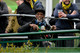 20240502-192932 Haringey Borough Women FC v Ashford Town Women FC